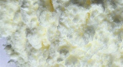 كيف يعمل ممتص الأشعة فوق البنفسجية للبذور في البيئات ذات درجات الحرارة العالية؟